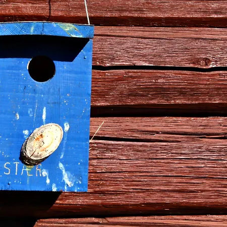 Søstrene Storaas Hotell Bolkesjo