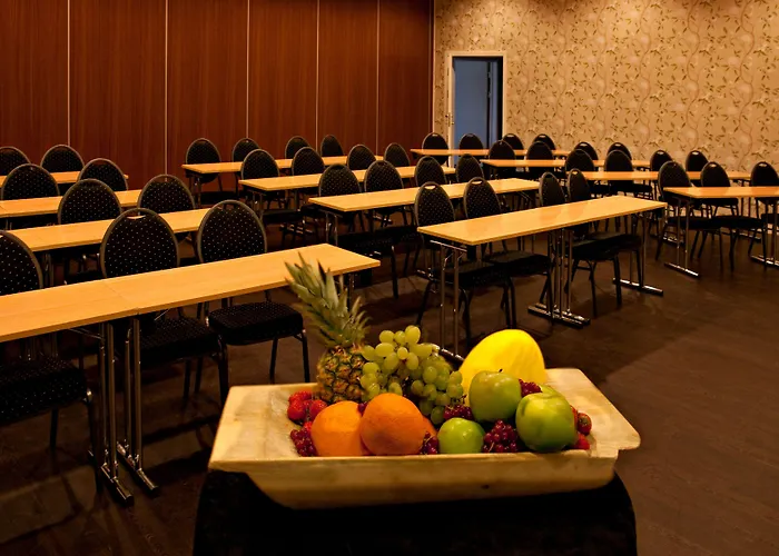 Sostrene Storaas Hotel Bolkesjo