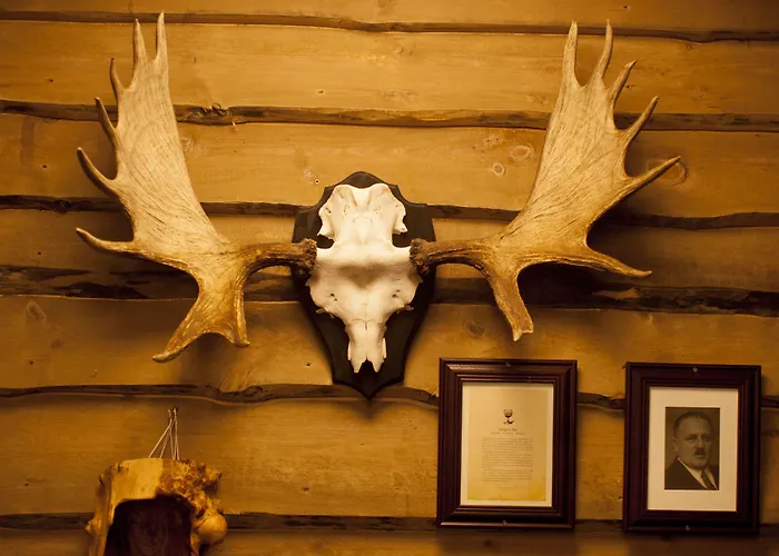 Sostrene Storaas Hotel Bolkesjo